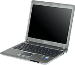 מסך למחשב נייד דל X300